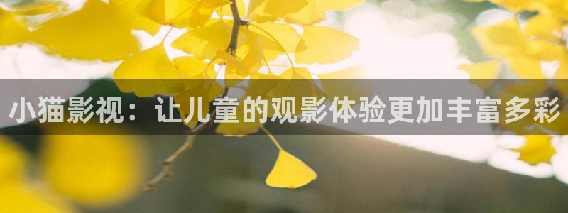 天天影院网站在线观看电视剧大全