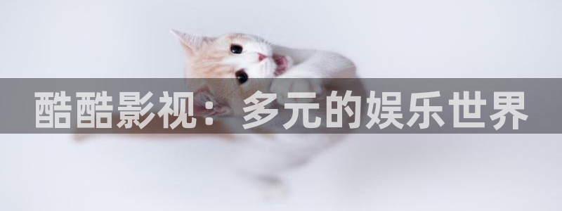 天天影院天天日