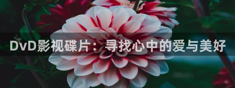 天天综合在线影院