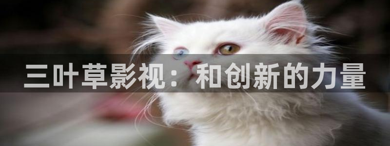 天天电影院看电影免费观看