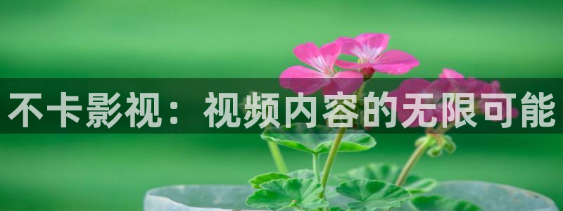 天天射成人影院